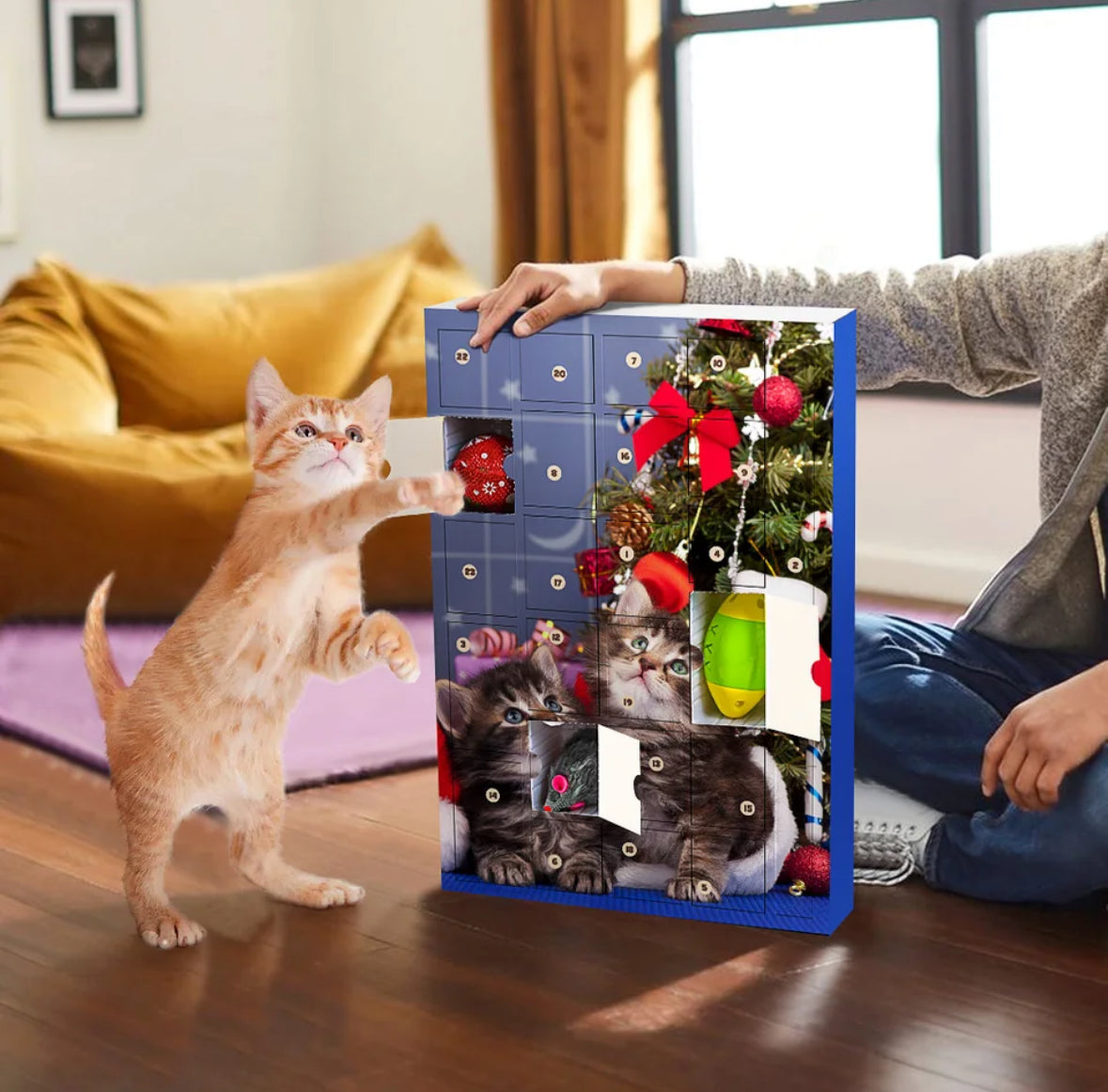 Katzen Adventskalender für Haustiere