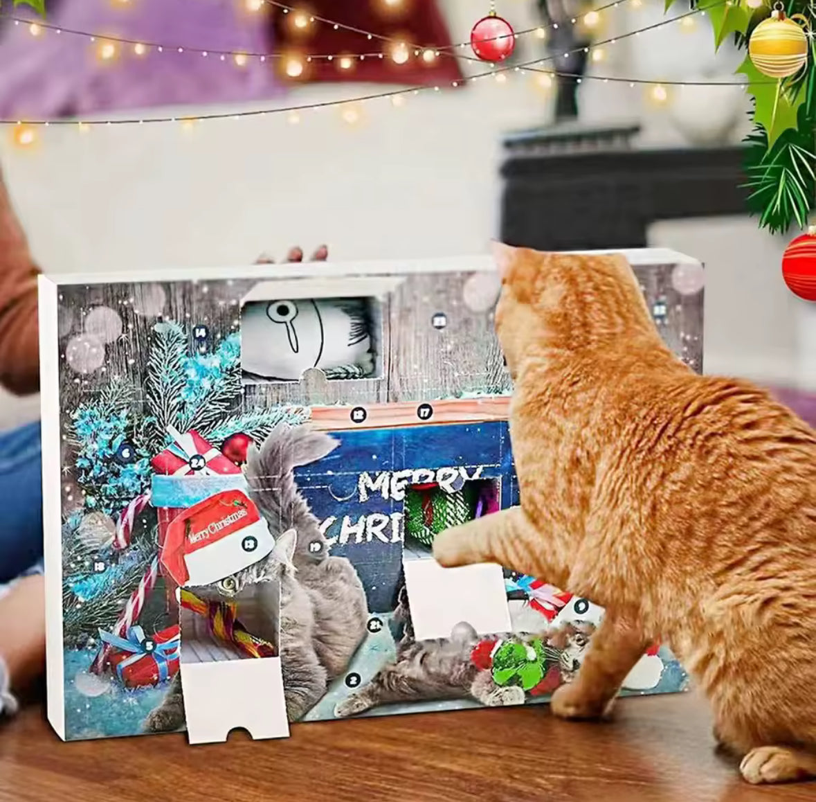 Katzen Adventskalender für Haustiere