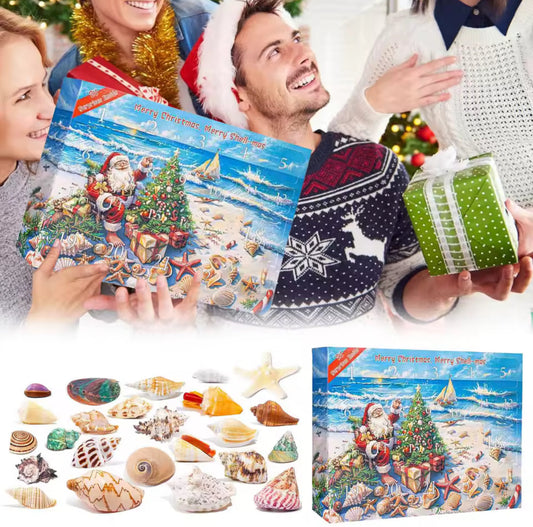 Muschel Traum Adventskalender