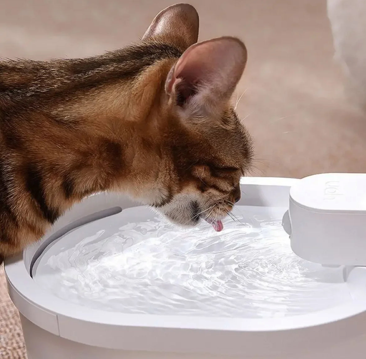 Kabelloser Frischwasser Katzenbrunnen