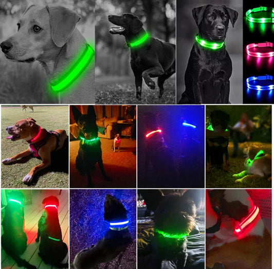 Leuchtendes LED Hundehalsband