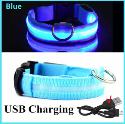 Leuchtendes LED Hundehalsband