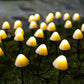 Magische Solar Pilz Lichterkette