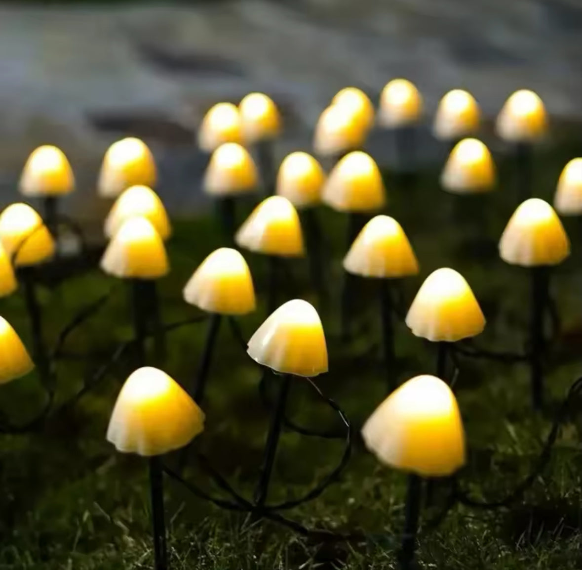Magische Solar Pilz Lichterkette