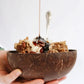 Kokosnuss Schalen Schüssel mit Holz Löffel