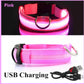 Leuchtendes LED Hundehalsband