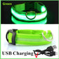 Leuchtendes LED Hundehalsband