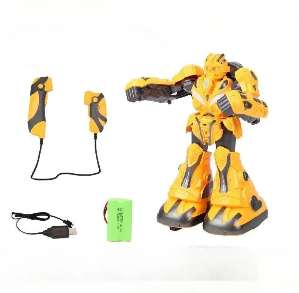 Smart Kampf Roboter
