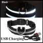 Leuchtendes LED Hundehalsband