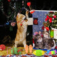 Katzen Adventskalender für Haustiere