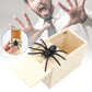 Erschreckende Spinnen-Box