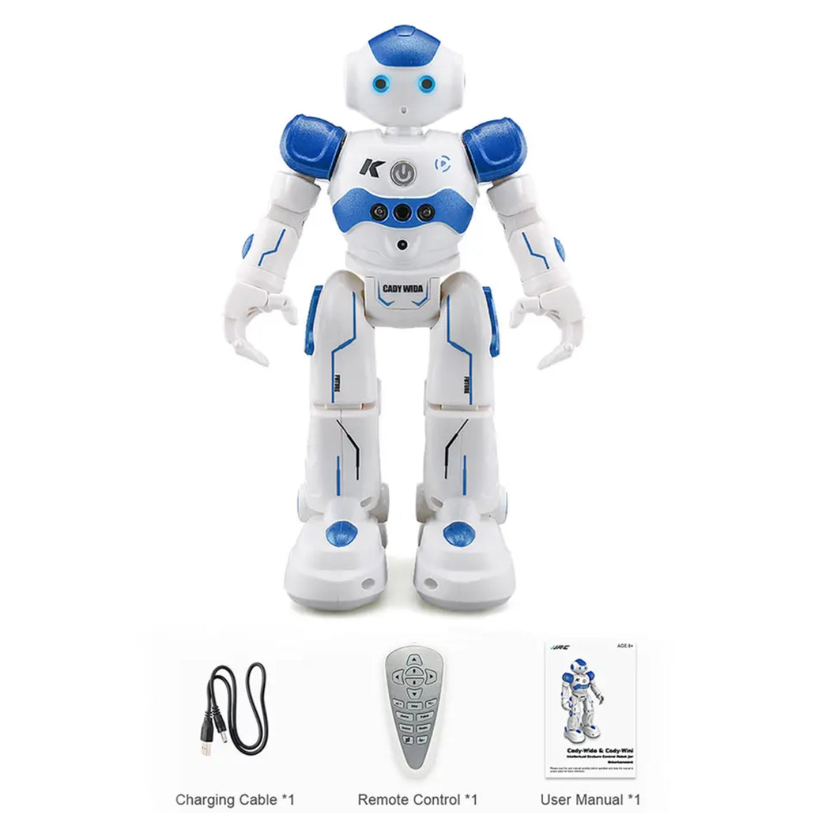 RC Smart Roboter