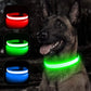 Leuchtendes LED Hundehalsband