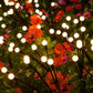 Solarbetriebene Outdoor LED Lichter Bündel Dekoration