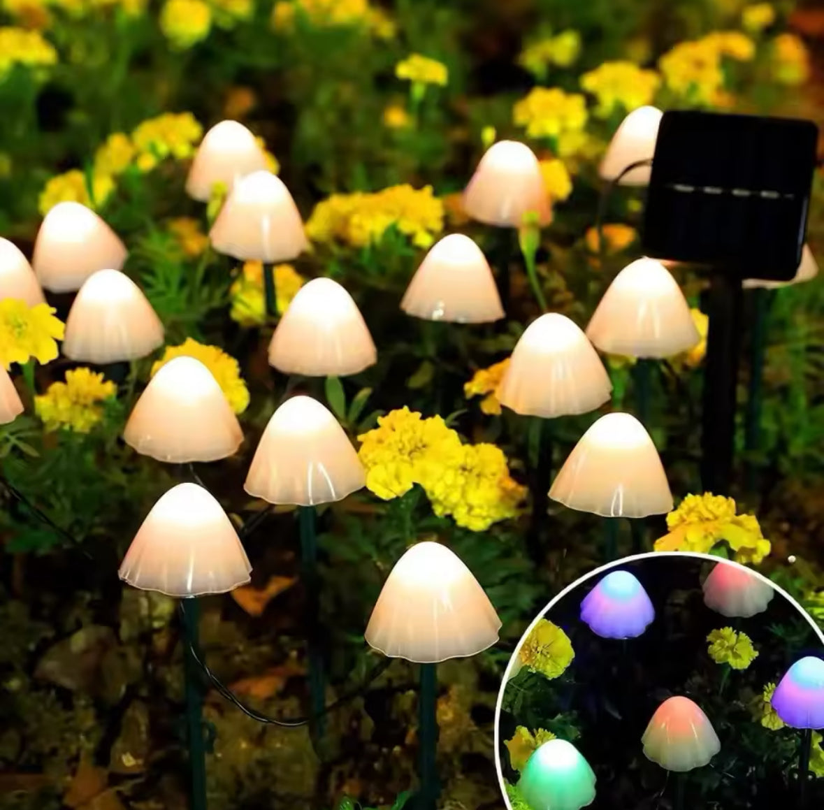 Magische Solar Pilz Lichterkette