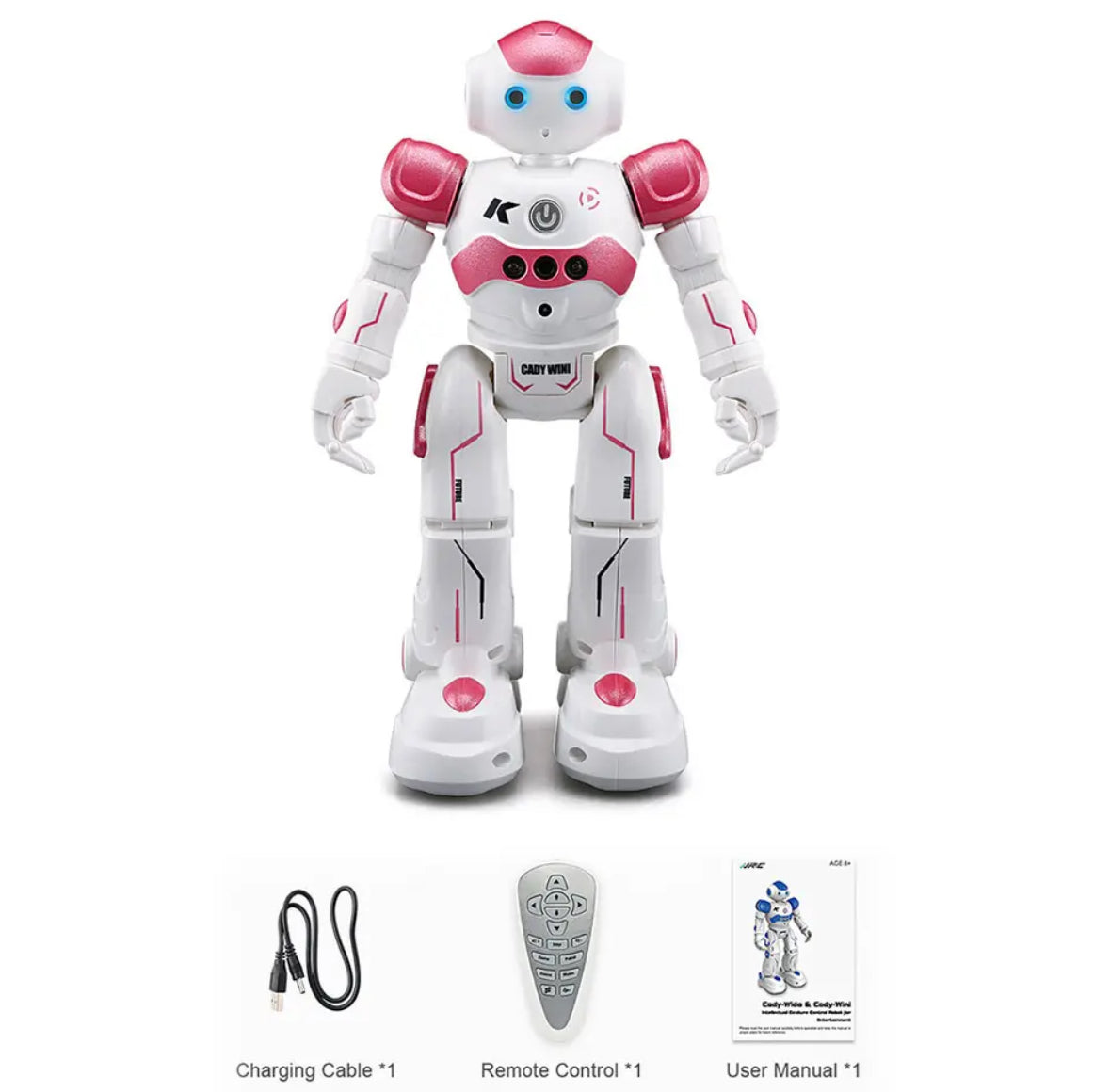 RC Smart Roboter