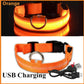Leuchtendes LED Hundehalsband