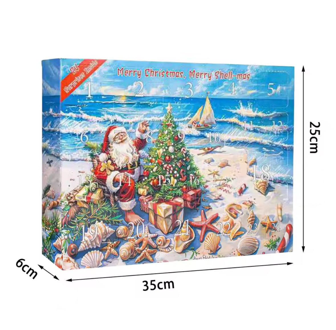 Muschel Traum Adventskalender