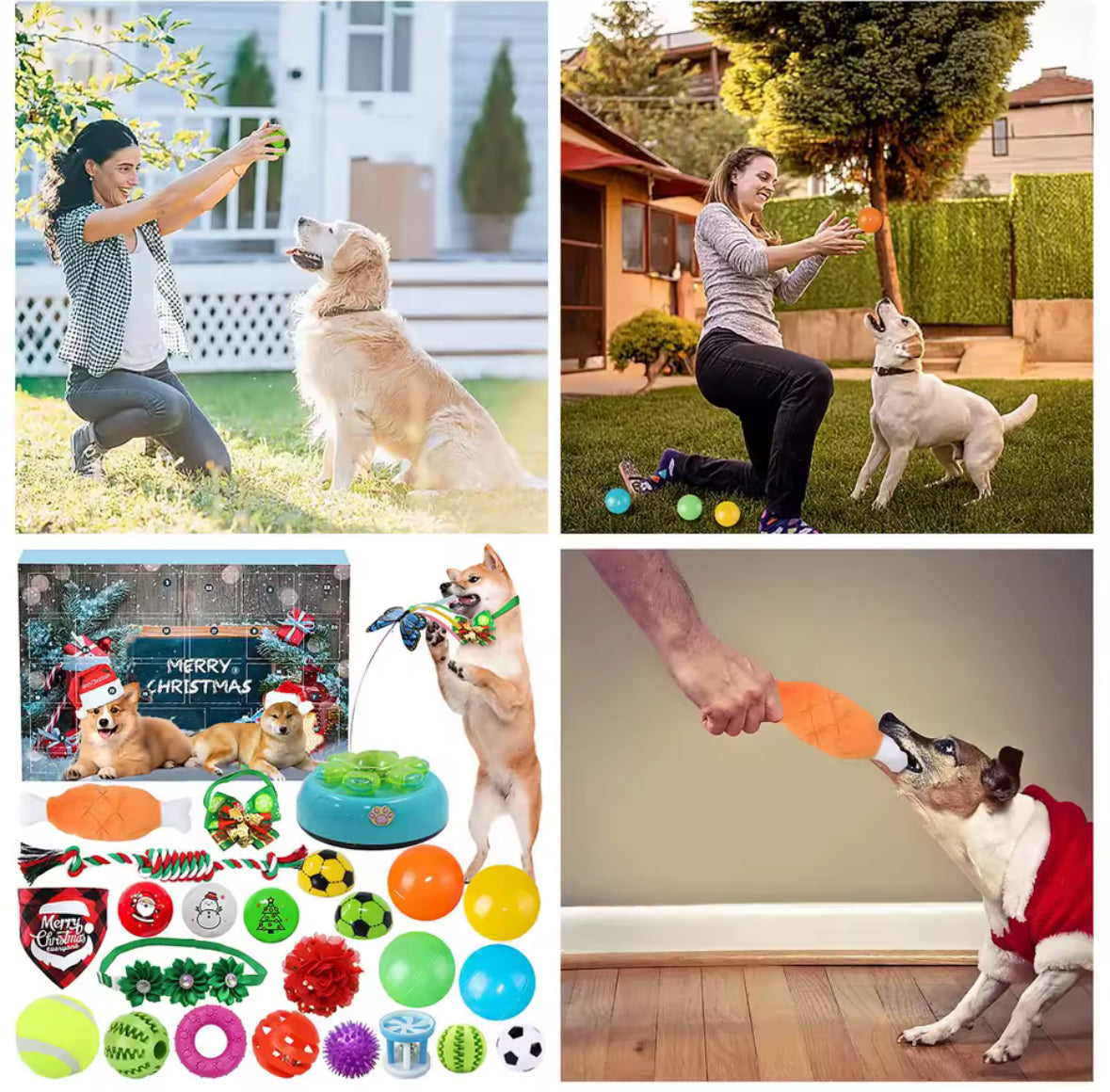 Hunde Adventskalender für Haustiere