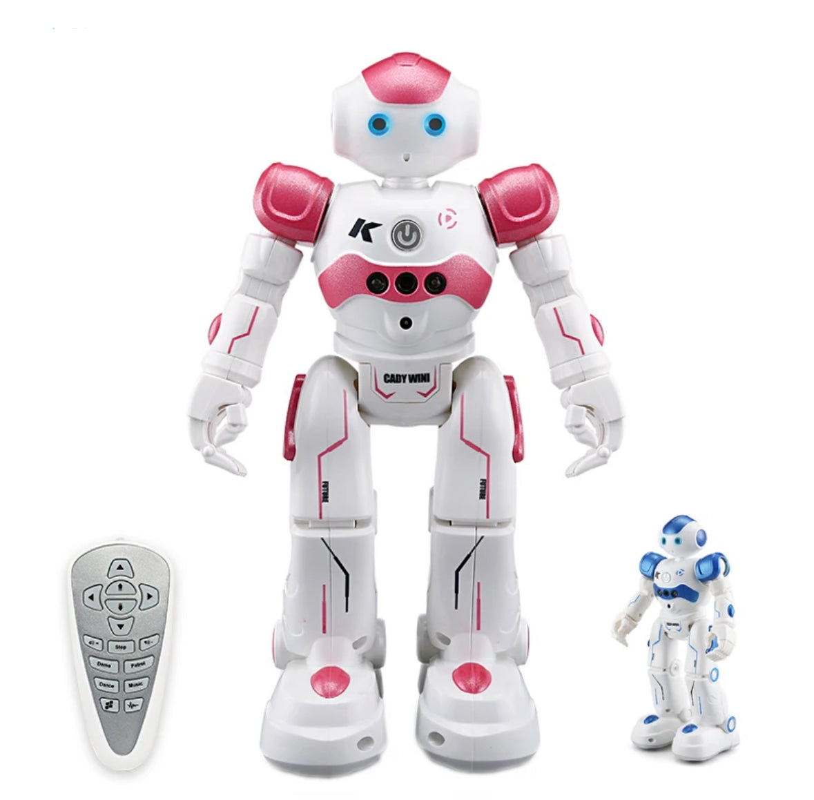RC Smart Roboter