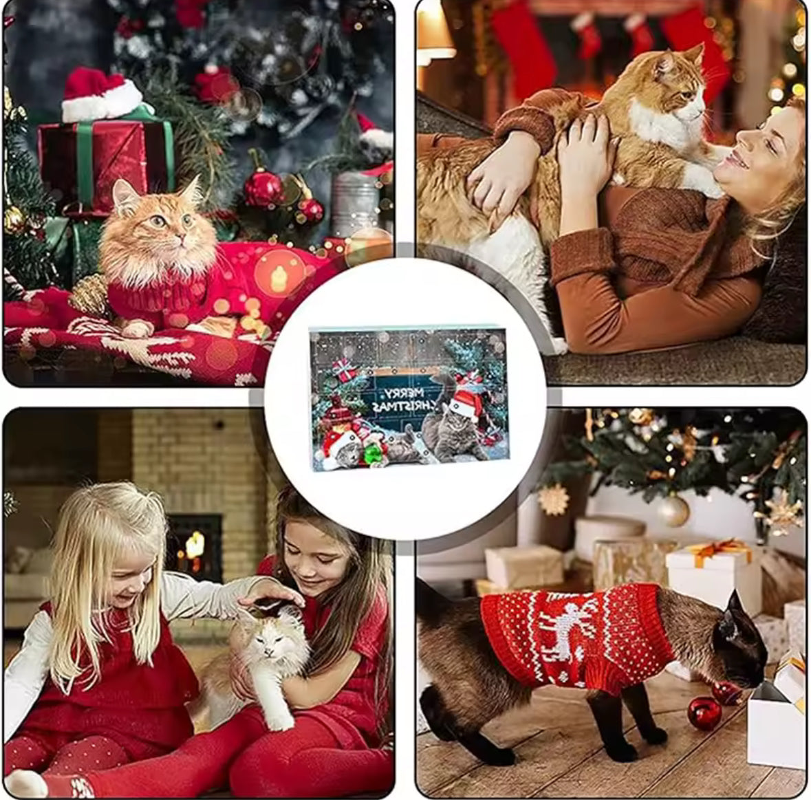 Katzen Adventskalender für Haustiere