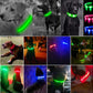 Leuchtendes LED Hundehalsband