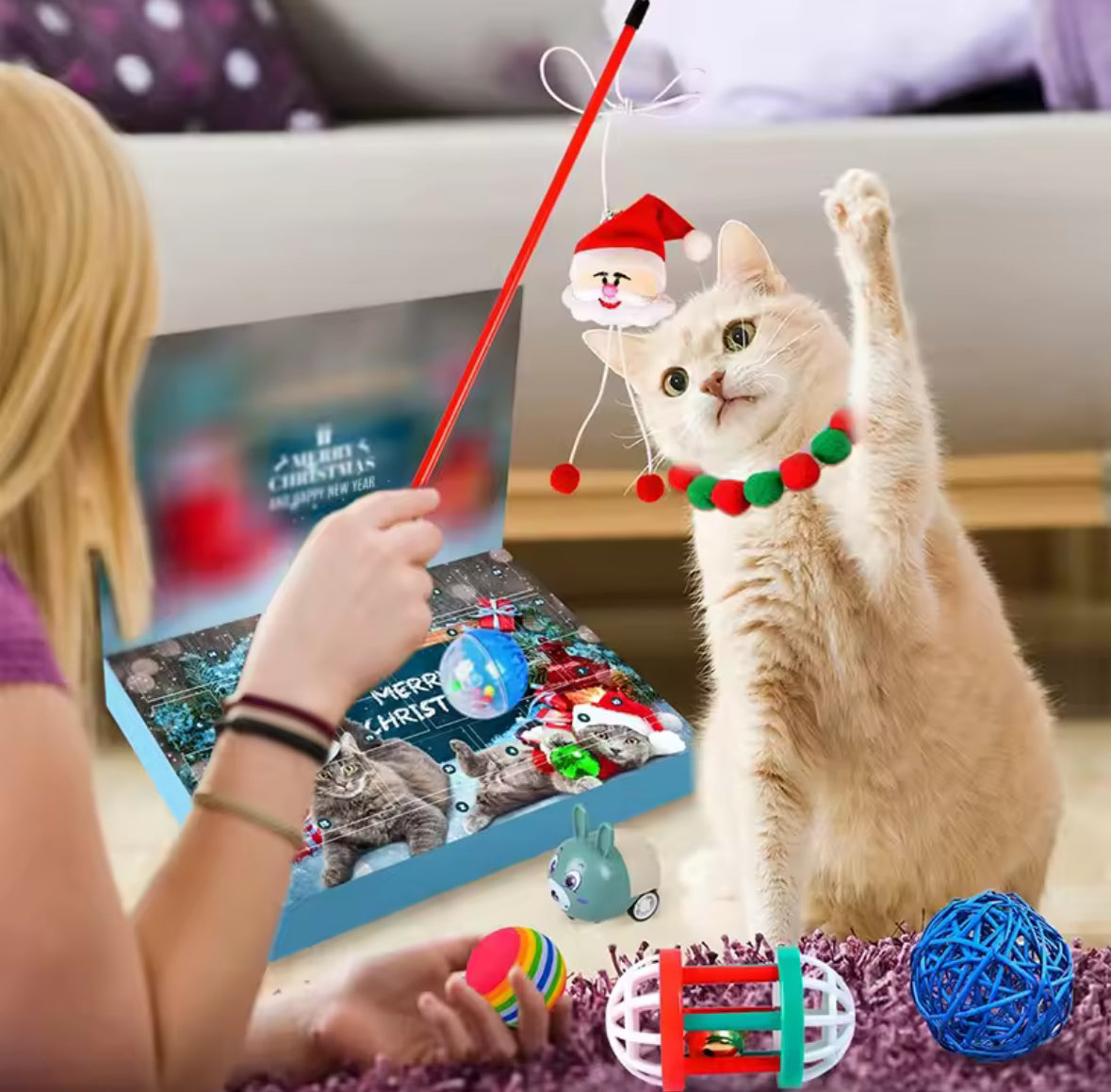 Katzen Adventskalender für Haustiere