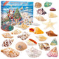 Muschel Traum Adventskalender